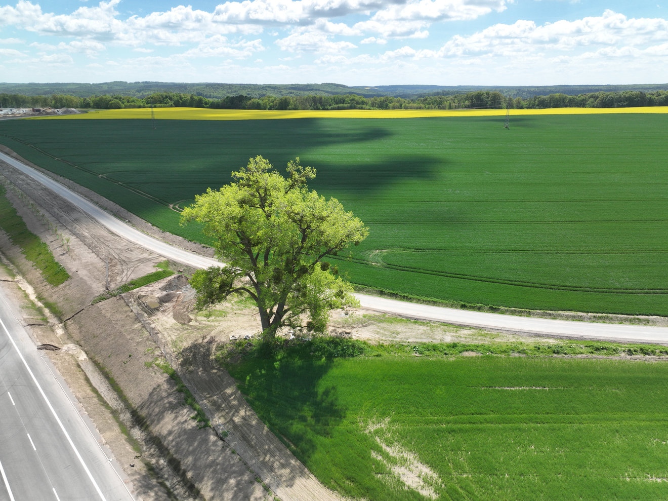 Widok na drogę DG2, obiekt WD-44 oraz Trasę Główną w km 31+470 (6)