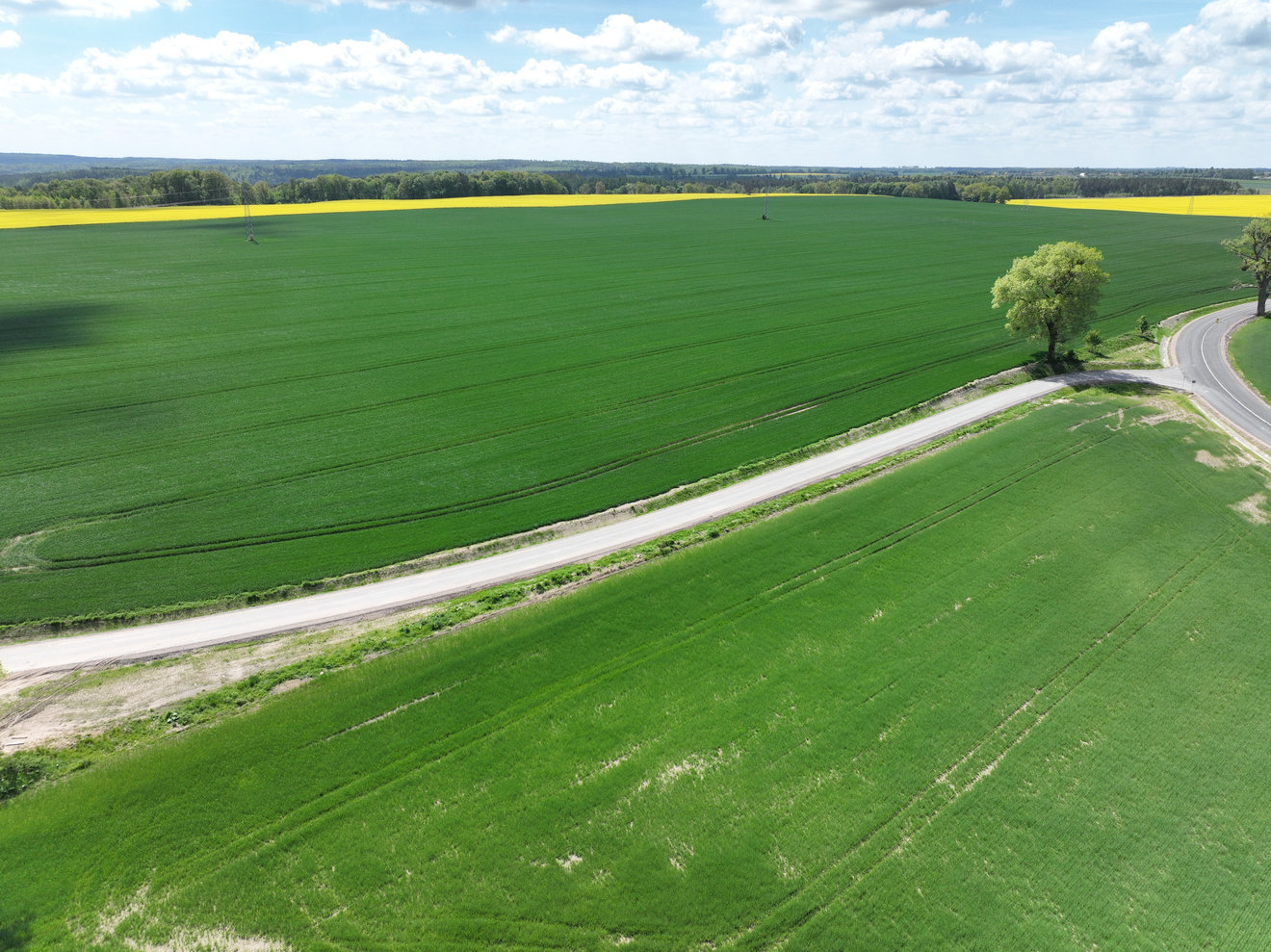 Widok na drogę DG2, obiekt WD-44 oraz Trasę Główną w km 31+470 (7)